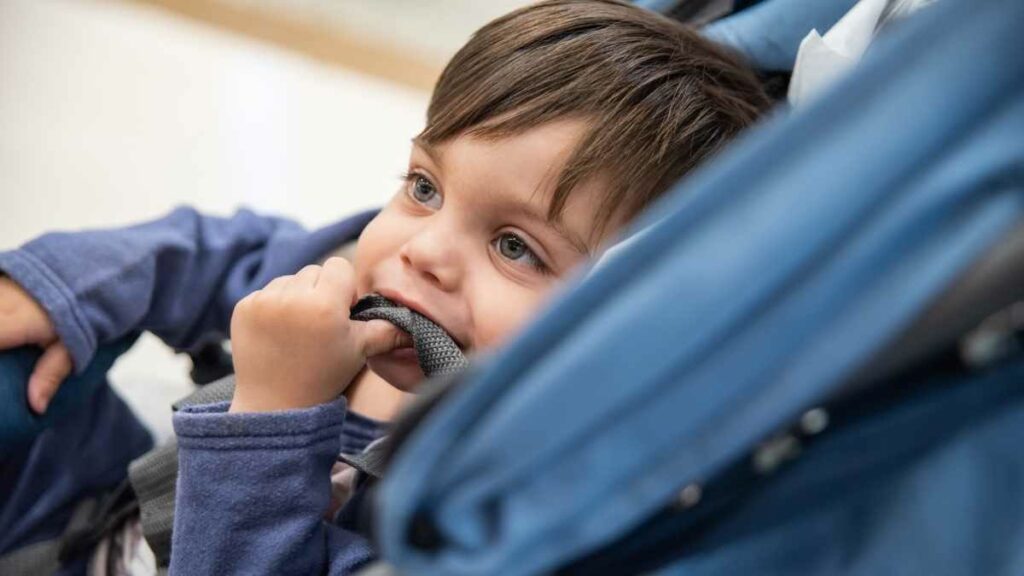 toddler entertained in stroller