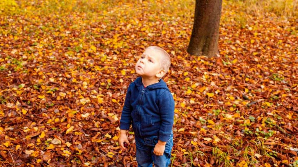toddler son in woodland