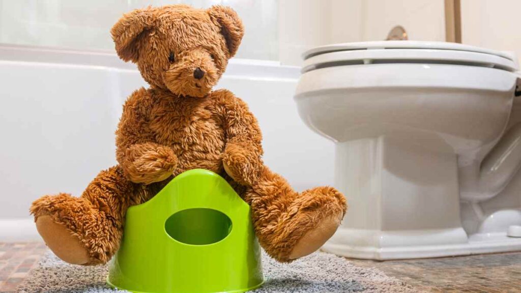 bear on potty