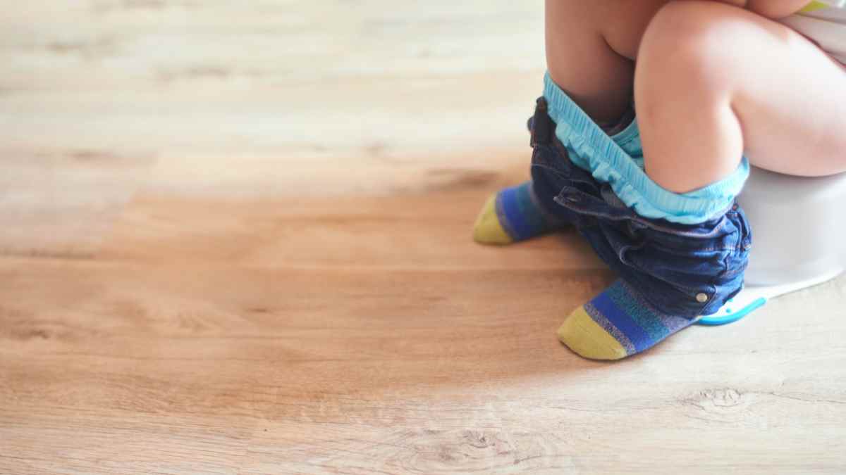 Potty Training Tips for Parents The Moms Life Cycle
