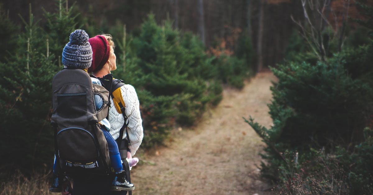 woman-carrying-girl-while-showing-smile